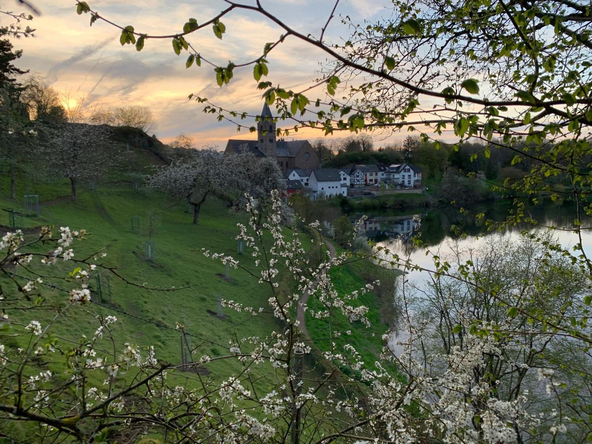 Ferienwohnungen Eifelstuben Mit Charme - Am See, Nahe Burg Ulmen Buitenkant foto